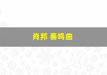 肖邦 奏鸣曲